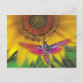 Sphinx Postkarte (Vorderseite)