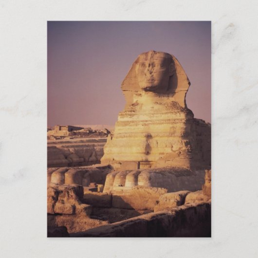 Sphinx Postkarte (Vorderseite)