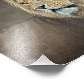Sphinx Print Fotodruck (Ecke)