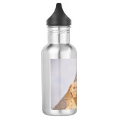 Sphinx Pyramids Antient Ägypten Khufu Pharoah Edelstahlflasche (Links)