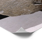 Sphinx von Vulci Poster (Ecke)