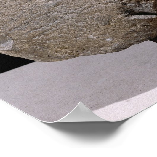 Sphinx von Vulci Poster (Ecke)