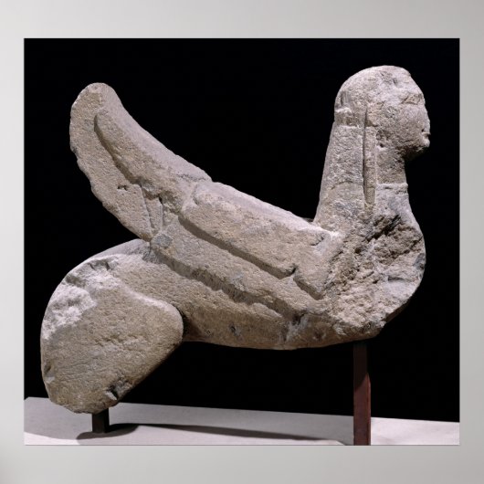 Sphinx von Vulci Poster (Vorne)