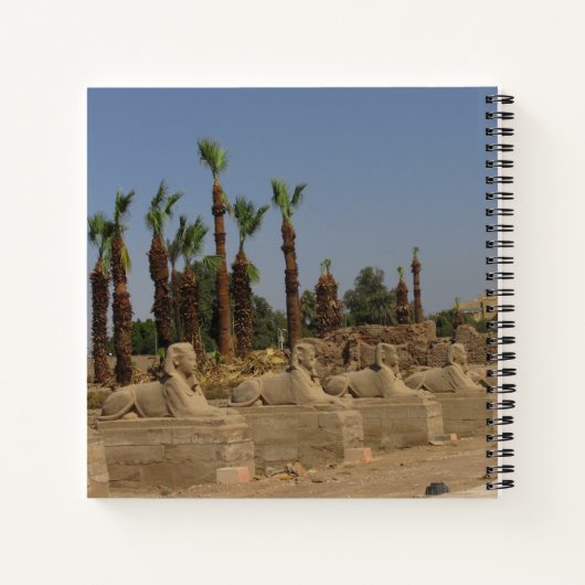 Sphinxavenue Notizblock (Rückseite)