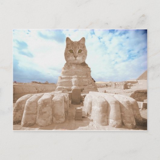 SphinxCat Postkarte (Vorderseite)
