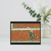 Sphinxmotte Postkarte (Stehend Vorderseite)