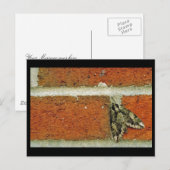 Sphinxmotte Postkarte (Vorne/Hinten)