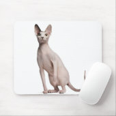 Sphynx (13 Monate alt) Mousepad (Mit Mouse)