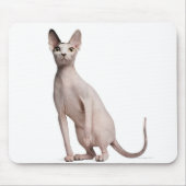 Sphynx (13 Monate alt) Mousepad (Vorne)