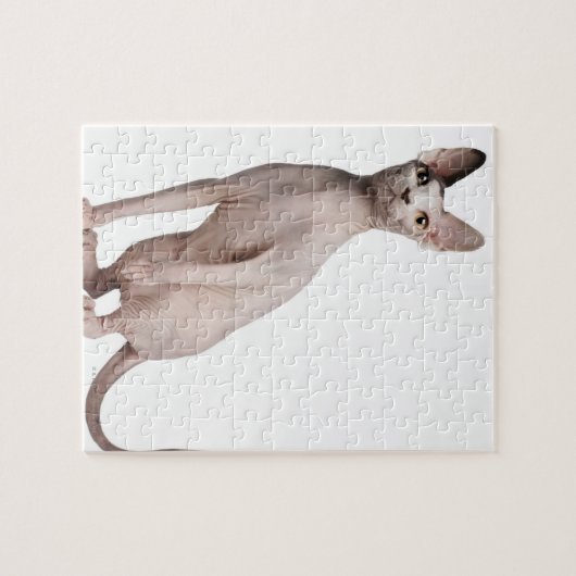 Sphynx (13 Monate alt) Puzzle (Horizontal)