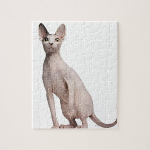Sphynx (13 Monate alte) Puzzle