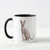Sphynx (13 Monate alte) Tasse (Links)