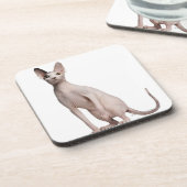 Sphynx (13 Monate alte) Untersetzer (Linke Seite)