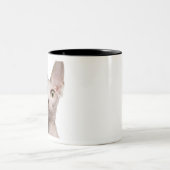 Sphynx (13 Monate alte) Zweifarbige Tasse (Mittel)