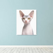 Sphynx (7 Monate alt) Leinwanddruck (Insitu (Holzboden))