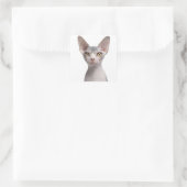 Sphynx (7 Monate alt) Quadratischer Aufkleber (Tasche)