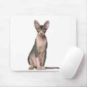 Sphynx (7 Monate alt), Sitzung Mousepad (Mit Mouse)