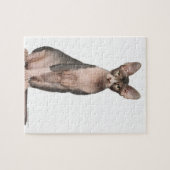 Sphynx (7 Monate alt), Sitzung Puzzle (Horizontal)
