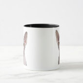 Sphynx (7 Monate alte) Tasse (Zentrum)