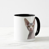 Sphynx (7 Monate alte) Tasse (VorderseiteRechts)