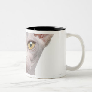 Sphynx (7 Monate alte) Zweifarbige Tasse