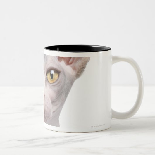 Sphynx (7 Monate alte) Zweifarbige Tasse (Rechts)