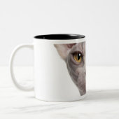 Sphynx (7 Monate alte) Zweifarbige Tasse (Links)
