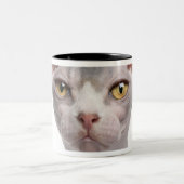 Sphynx (7 Monate alte) Zweifarbige Tasse (Mittel)
