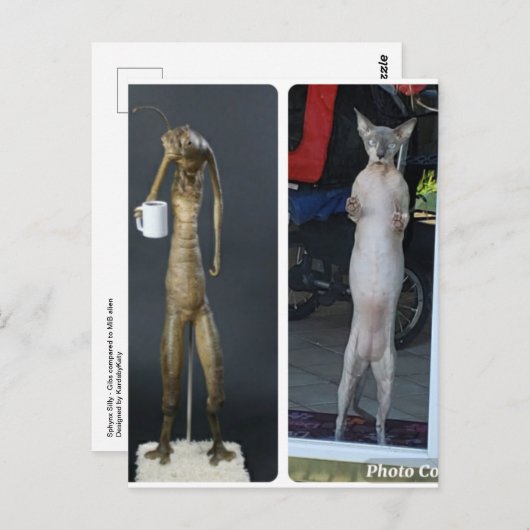 Sphynx Albern - Gibs im Vergleich zu MiB Alien Pos Postkarte (Vorne/Hinten)