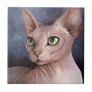 Sphynx Cat 578 Fliese