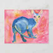 Sphynx Cat 7 Postkarte (Vorderseite)
