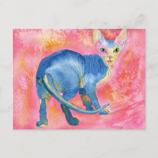 Sphynx Cat 7 Postkarte (Vorderseite)