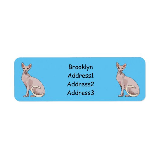 Sphynx cat cartoon illustration (Vorne)