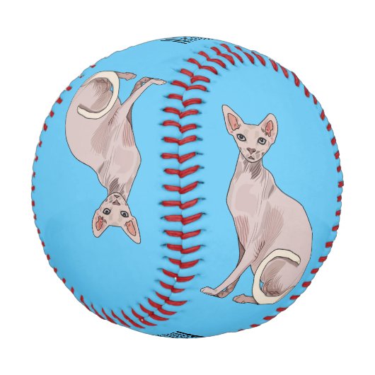 Sphynx cat cartoon illustration baseball (Schrägansicht)