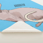 Sphynx cat cartoon illustration sherpadecke (3/4)