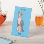 Sphynx cat cartoon illustration sockelschild (In SItu)