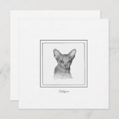 Sphynx Cat Chalk Zeichne Note Card Mitteilungskarte (Vorne/Hinten)