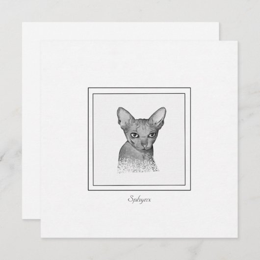 Sphynx Cat Chalk Zeichne Note Card Mitteilungskarte (Vorne/Hinten)