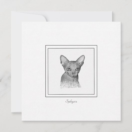 Sphynx Cat Chalk Zeichne Note Card Mitteilungskarte (Vorderseite)