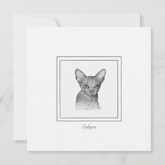 Sphynx Cat Chalk Zeichne Note Card Mitteilungskarte