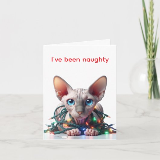 Sphynx Cat Christmas Card Karte (Vorderseite)