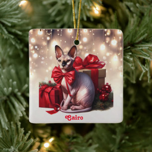 Sphynx Cat Christmas Keramikornament