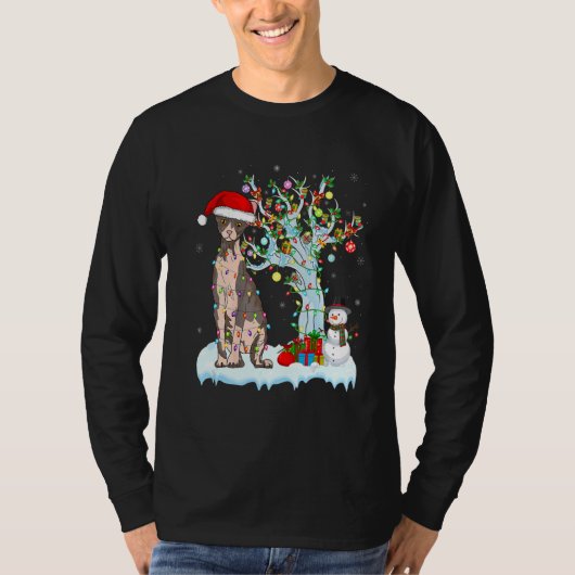 Sphynx Cat Christmas Light Santas Hat Snowman Matc T-Shirt (Vorderseite)
