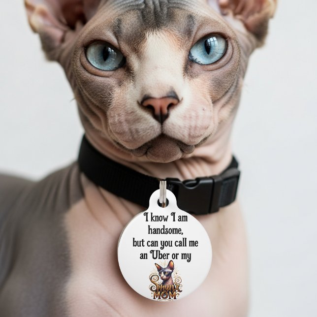 Sphynx Cat Funny  Haustiermarke (Funny Cat ID tag sphynx cats)