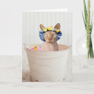 SPHYNX CAT (HAIRLESS) FUNNY CAT-GEBURTSTAGSKARTEN KARTE