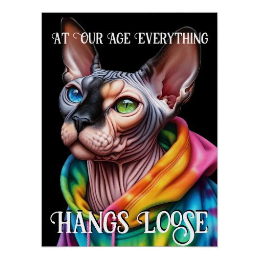 Sphynx Cat Hangs Loose Birthday Poster (Vorderseite)
