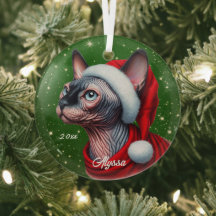 Sphynx Cat Hübsch Green Christmas