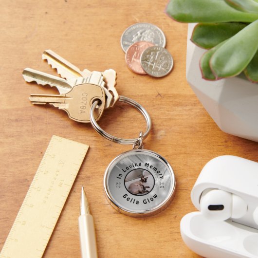 Sphynx Cat Memorial Silver Remembrance Art Schlüsselanhänger (Schreibtisch)