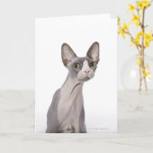 Sphynx Cat mit überraschtem Ausdruck Karte (Gelbe Blume)