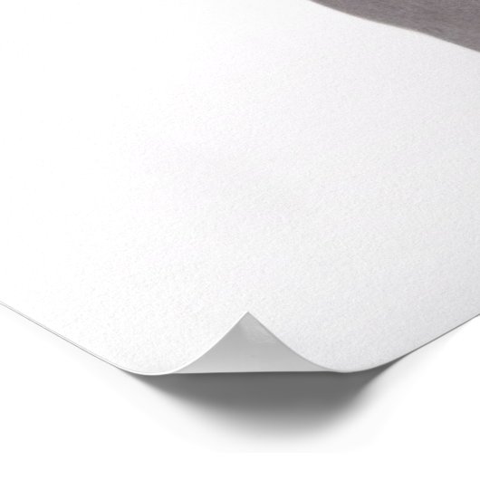 Sphynx Cat mit überraschtem Ausdruck Poster (Ecke)